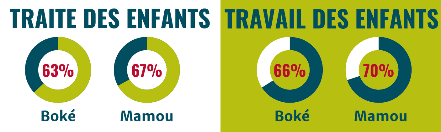 Statistiques relatives à la traite et au travail des enfants en Guinée 